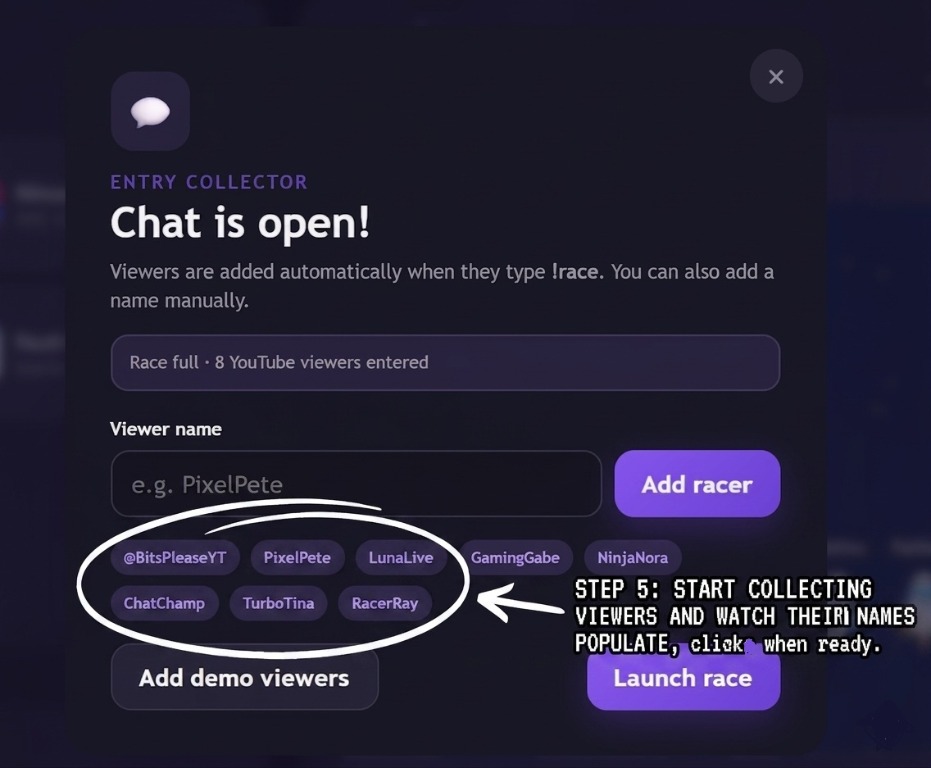 Open collector containing viewer names and the Launch race button